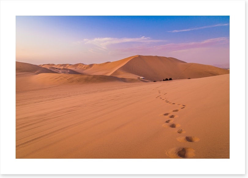 Desert