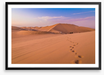 Desert