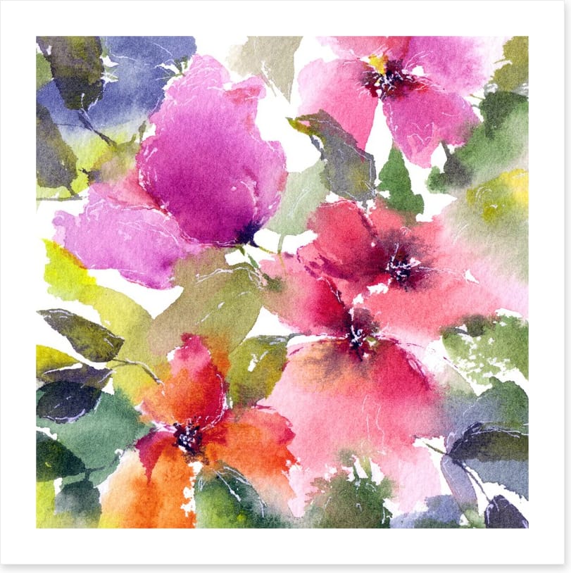 Blushing blooms