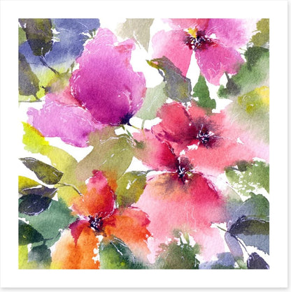 Blushing blooms