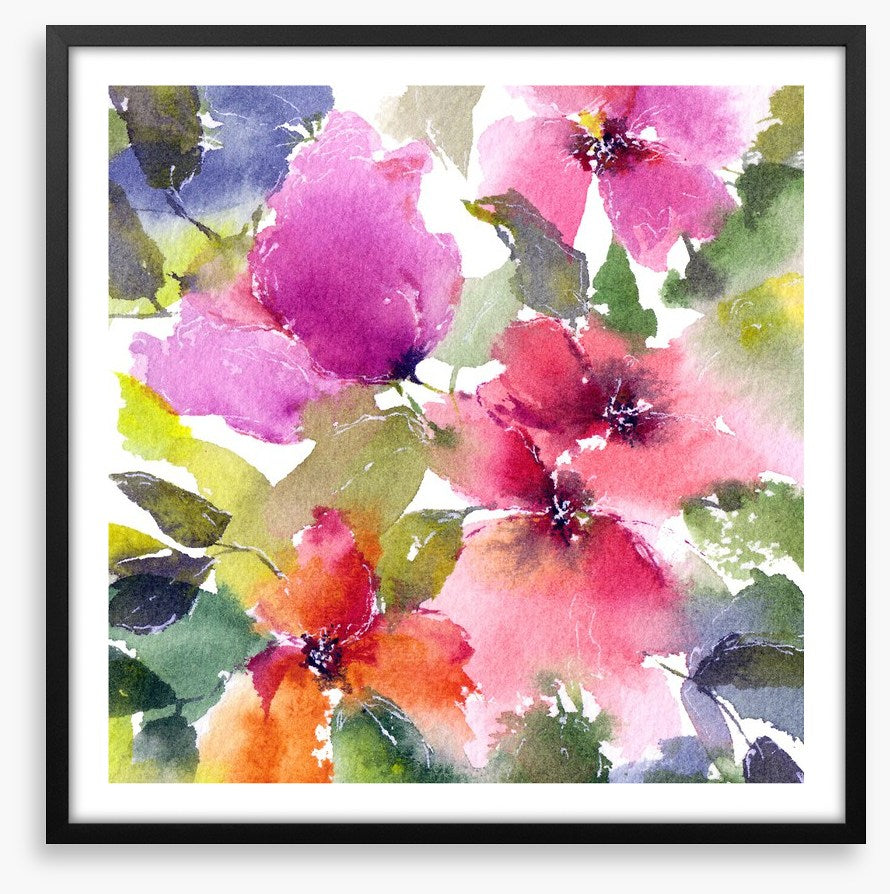 Blushing blooms