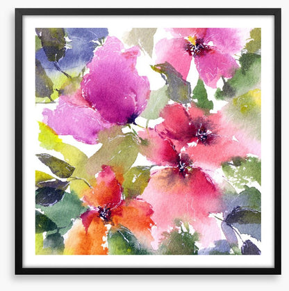 Blushing blooms