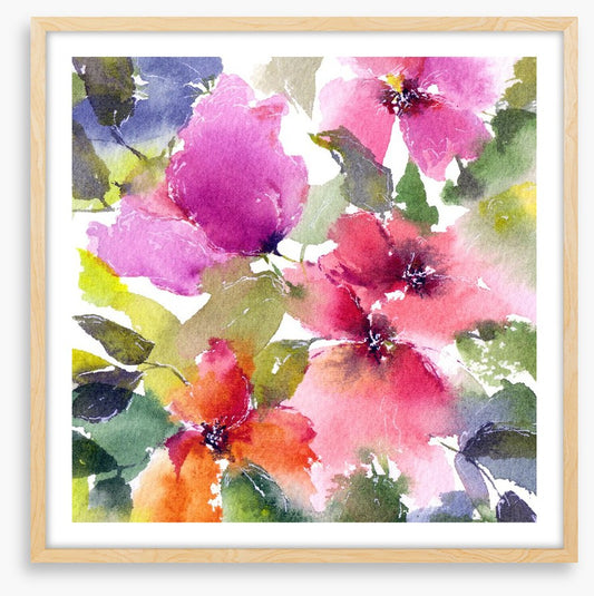 Blushing blooms