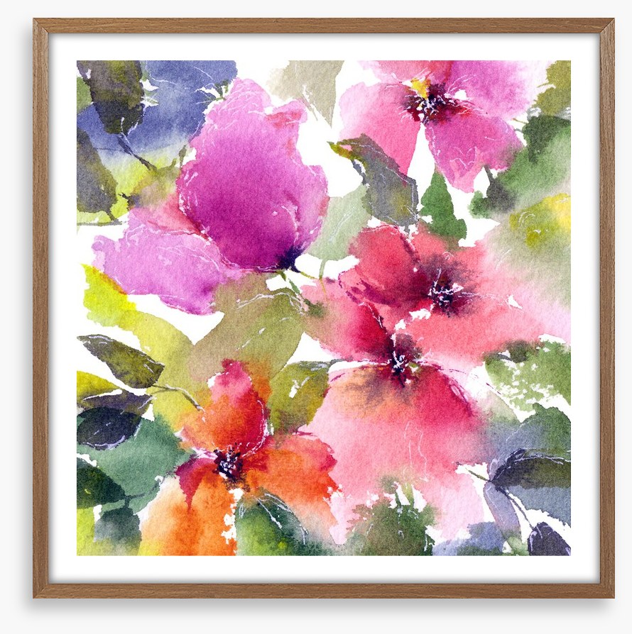 Blushing blooms