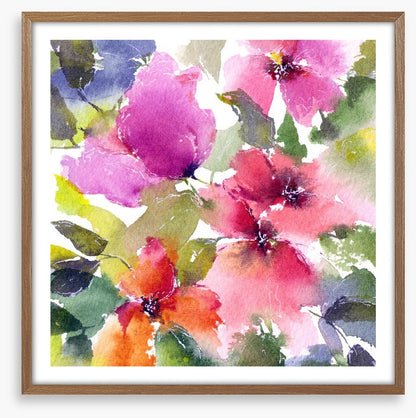 Blushing blooms