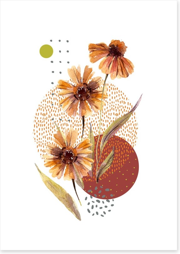 Aster autumn