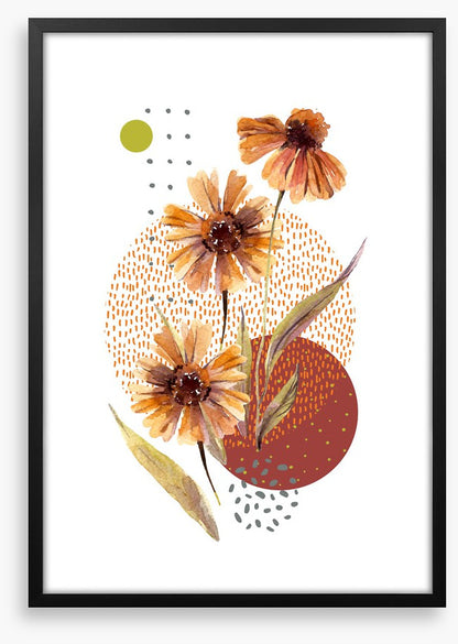 Aster autumn