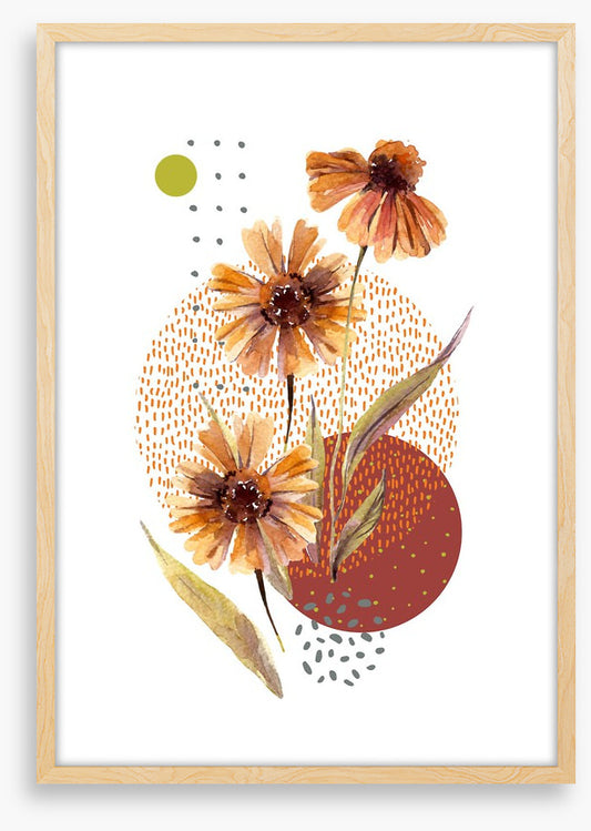 Aster autumn