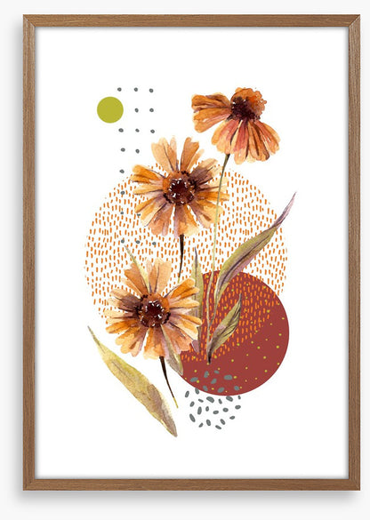 Aster autumn