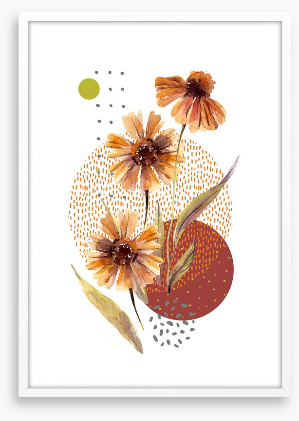 Aster autumn