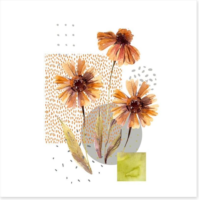 Autumn asters