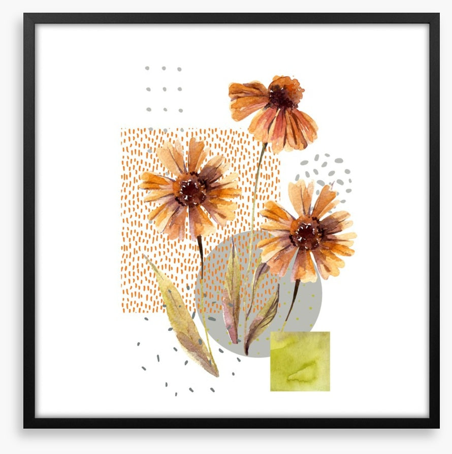 Autumn asters