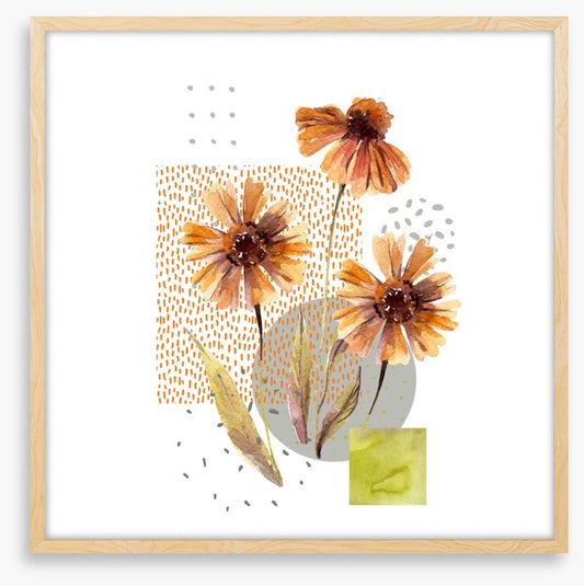 Autumn asters
