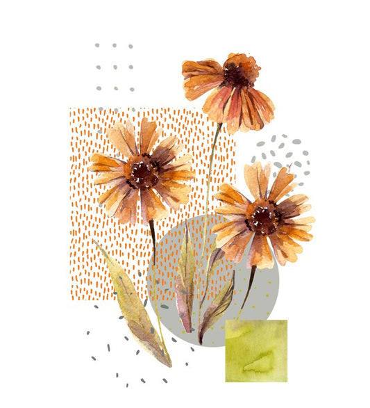 Autumn asters