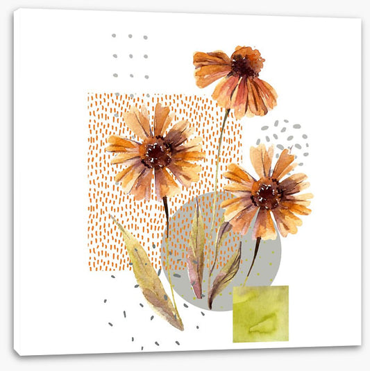 Autumn asters