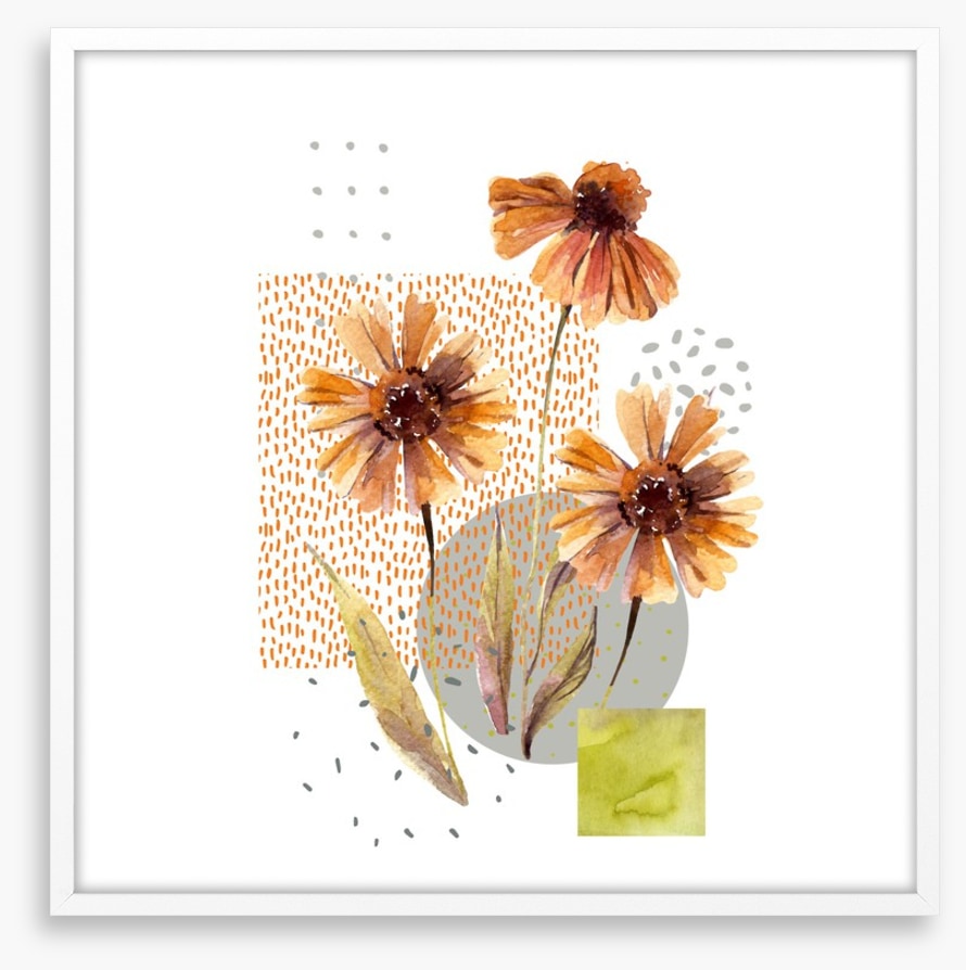 Autumn asters