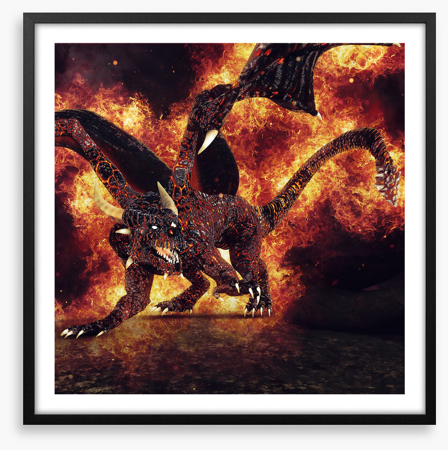Dragons