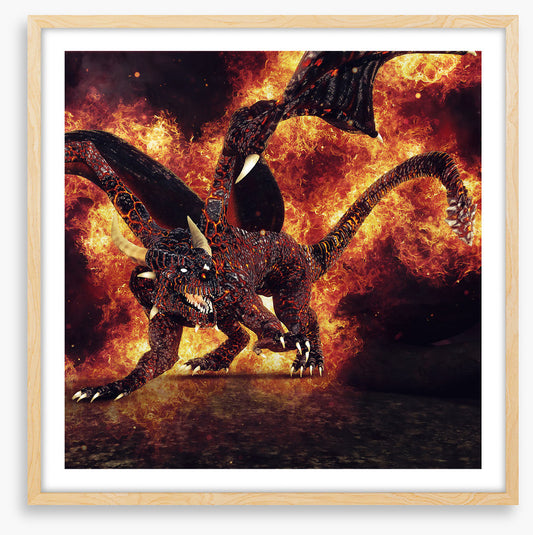 Dragons