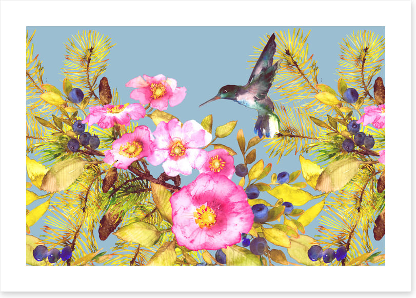 Wild rose hummingbird