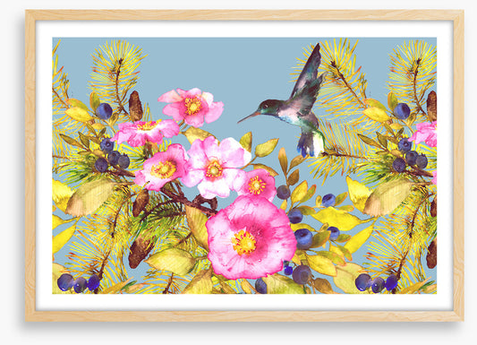 Wild rose hummingbird
