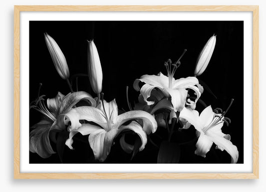 Three late lilies