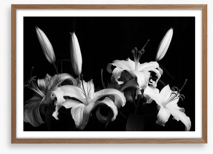 Three late lilies