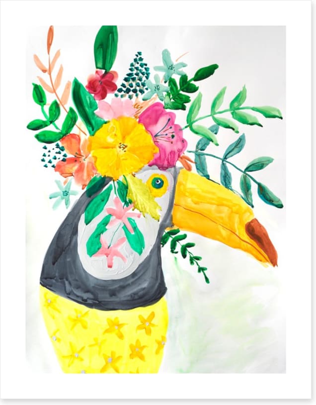 Toucan delight