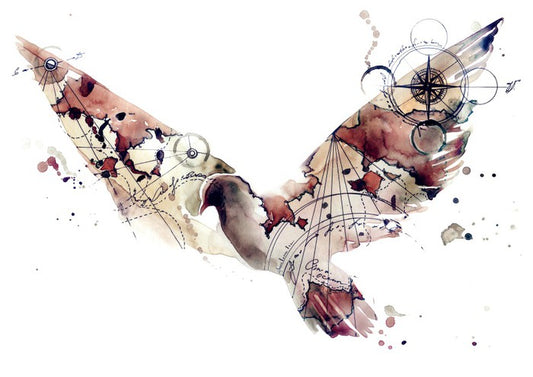 The traveller