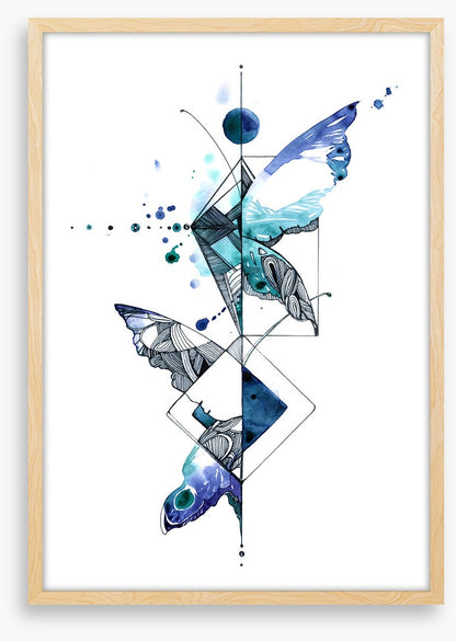Wings of wonder