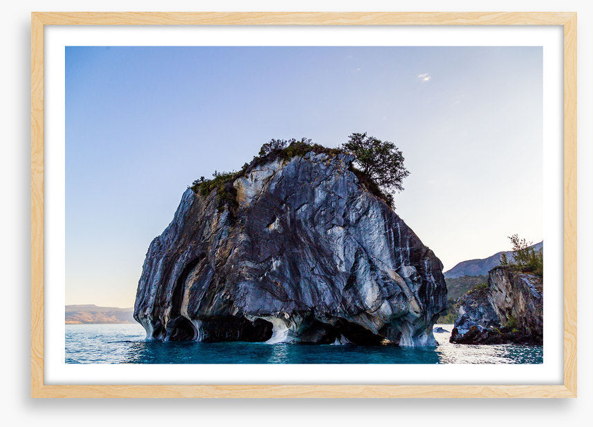 Marble cave tree