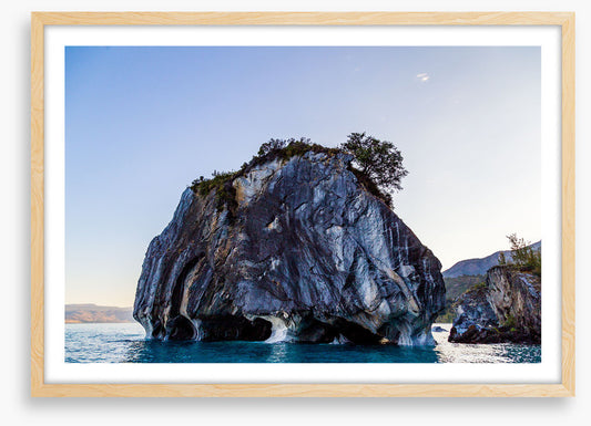 Marble cave tree