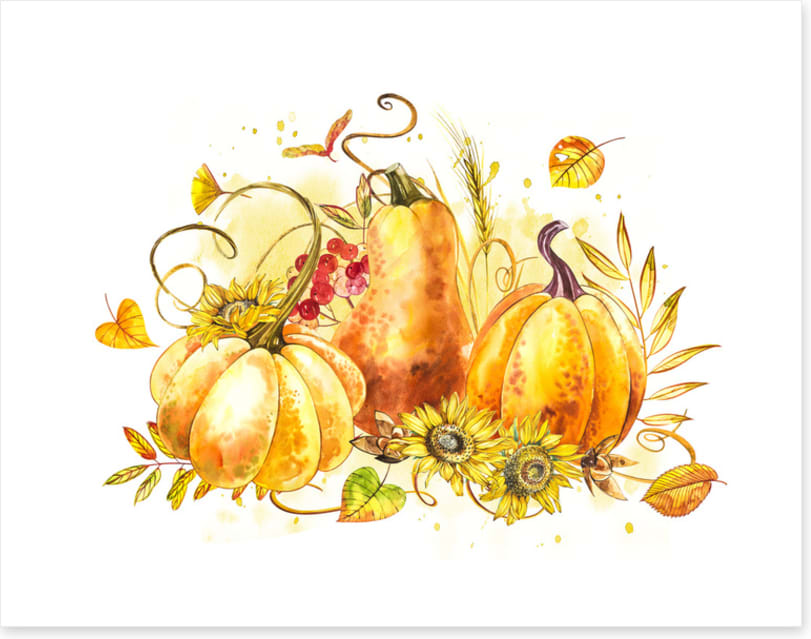 The pumpkin patch