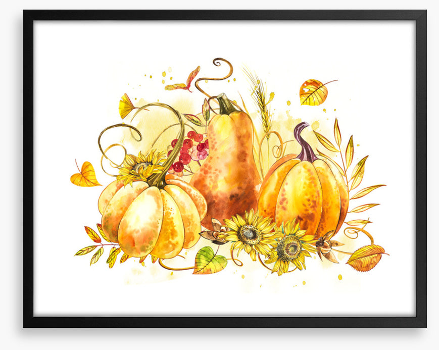 The pumpkin patch