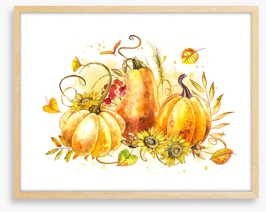 The pumpkin patch