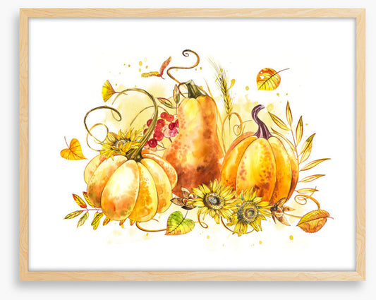 The pumpkin patch