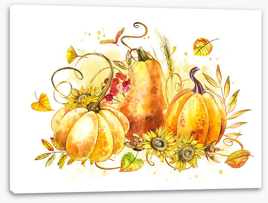 The pumpkin patch