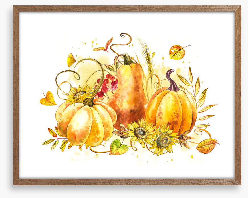 The pumpkin patch