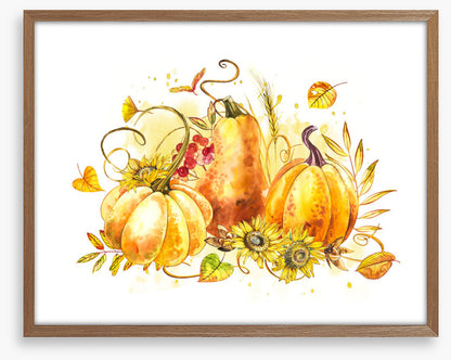 The pumpkin patch