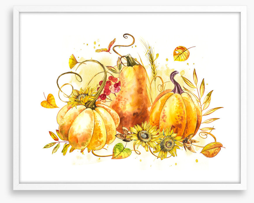 The pumpkin patch
