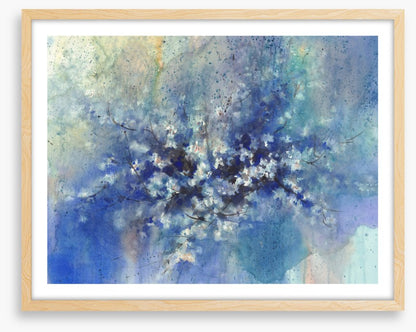 Bloom through the blue