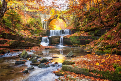 Fairytale falls