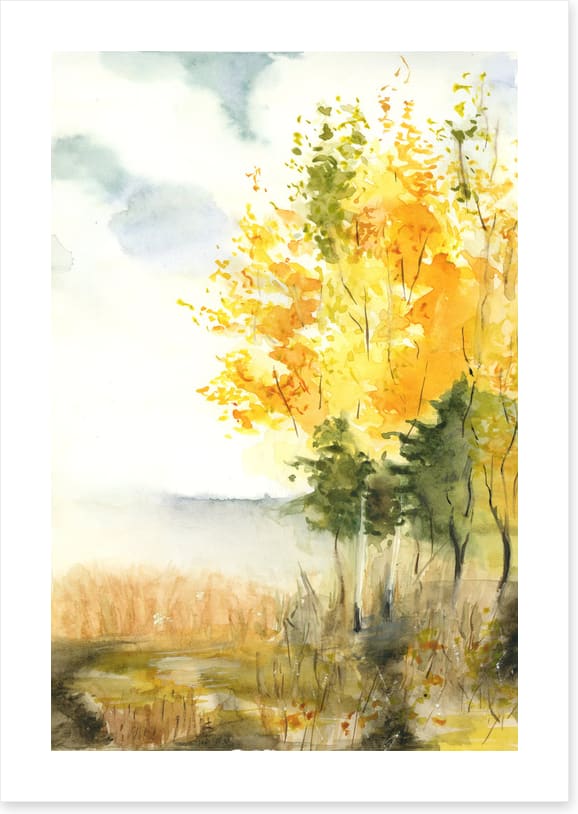 Golden birch leaves