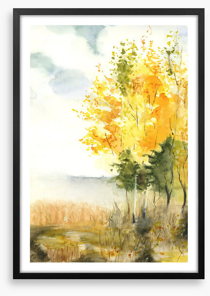 Golden birch leaves