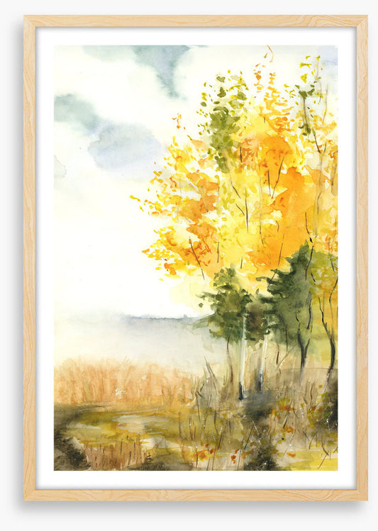 Golden birch leaves