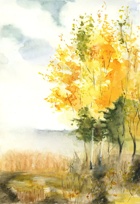 Golden birch leaves