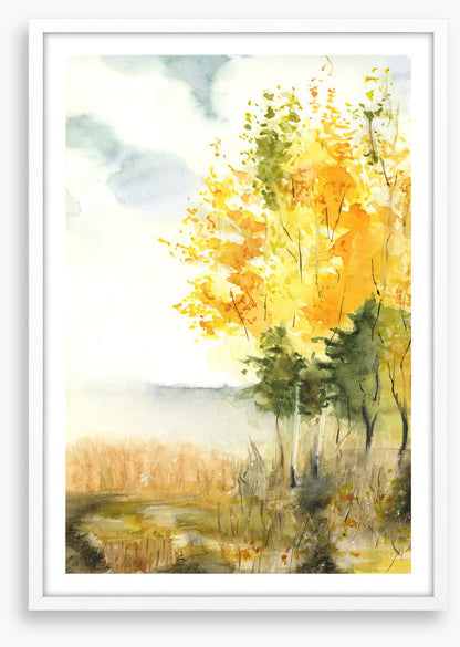Golden birch leaves