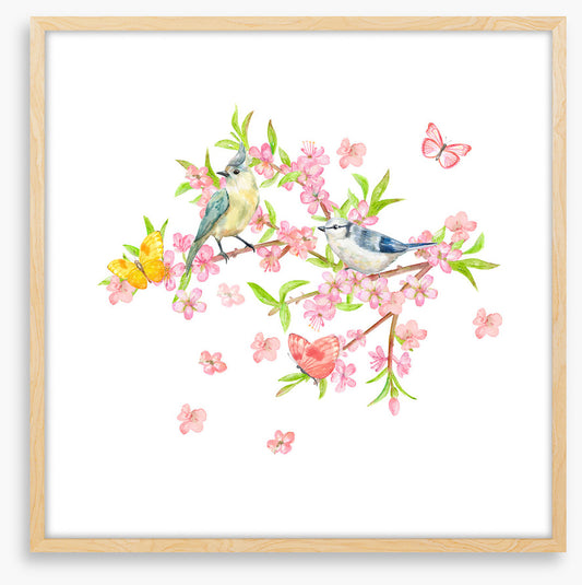 Spring