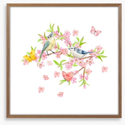 Spring