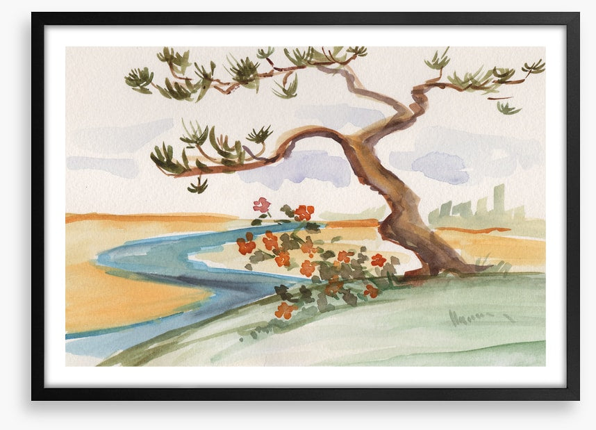 Pine by the stream