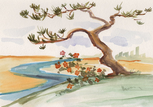 Pine by the stream